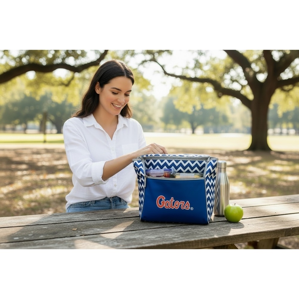 Florida Gators Chevron Insulated Tote Lunch Bag Blue White Orange 11x13